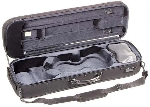 Bam Stylus Violin Case 5001S 4/4