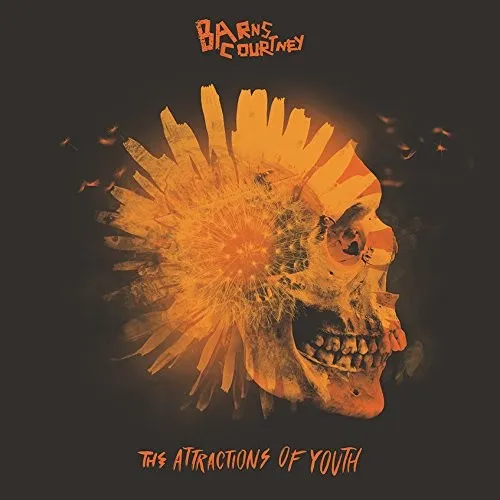 Barns Courtney - The Attractions Of Youth (Picture disc)