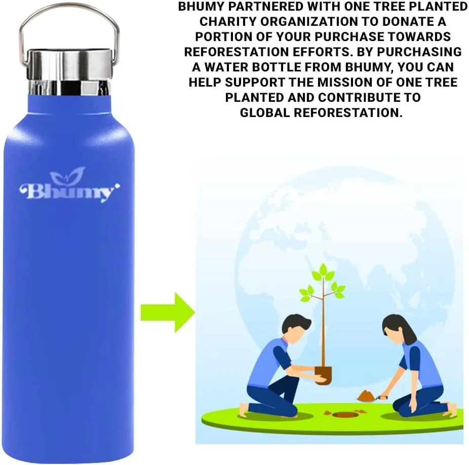 Bhumy Stainless Steel Water Bottles – 22oz Double Wall Stainless Steel Insulated Water Bottle – Water Bottle with Straw and 2 Lids – Leakproof Sports Water Bottle Water for Gym, Office, Travel