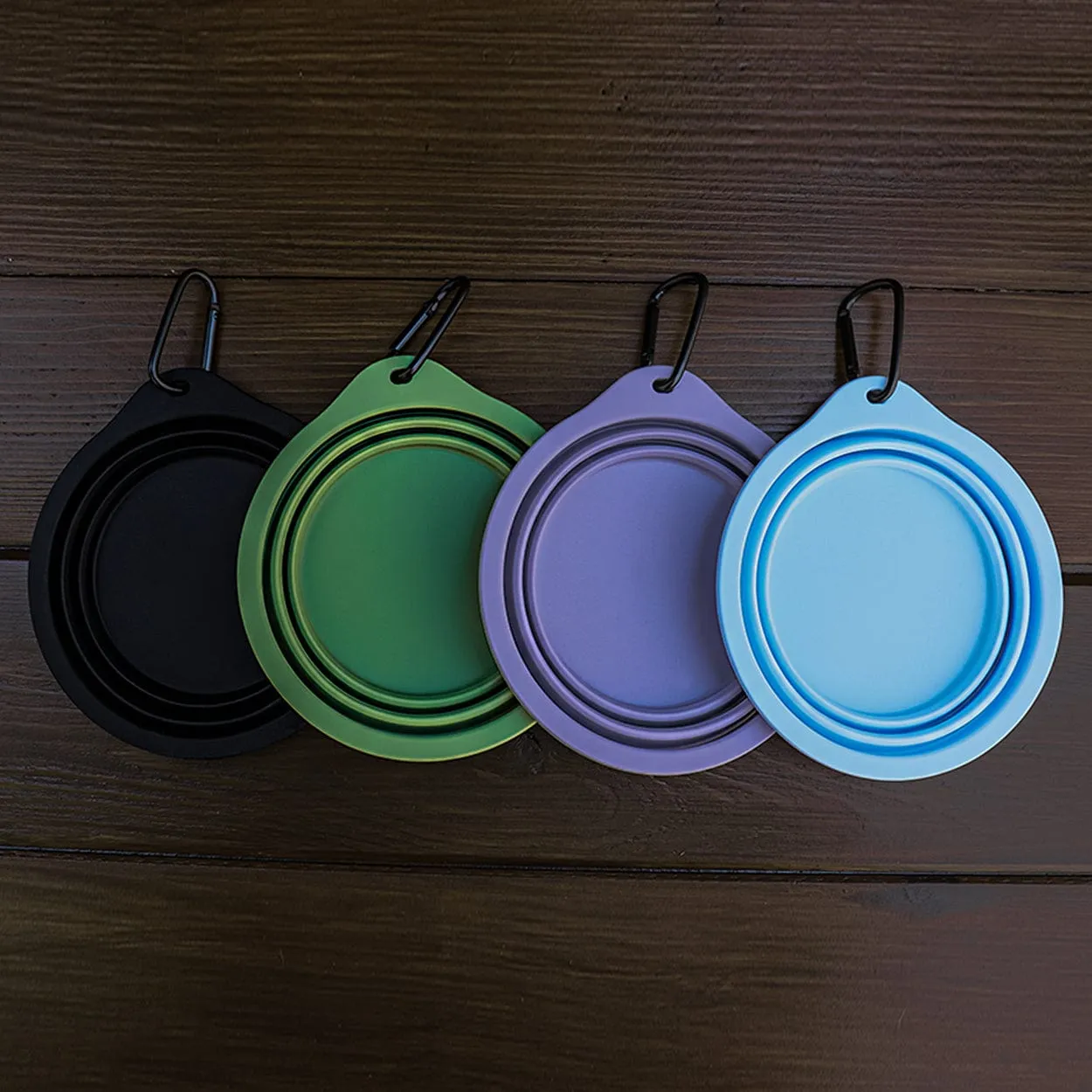 Black Silicone Travel Bowl