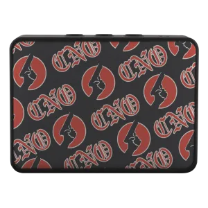 BOA Blue tooth Speaker