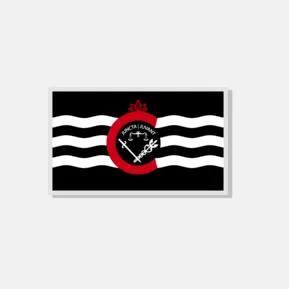Cincinnati flag hat/lapel pin