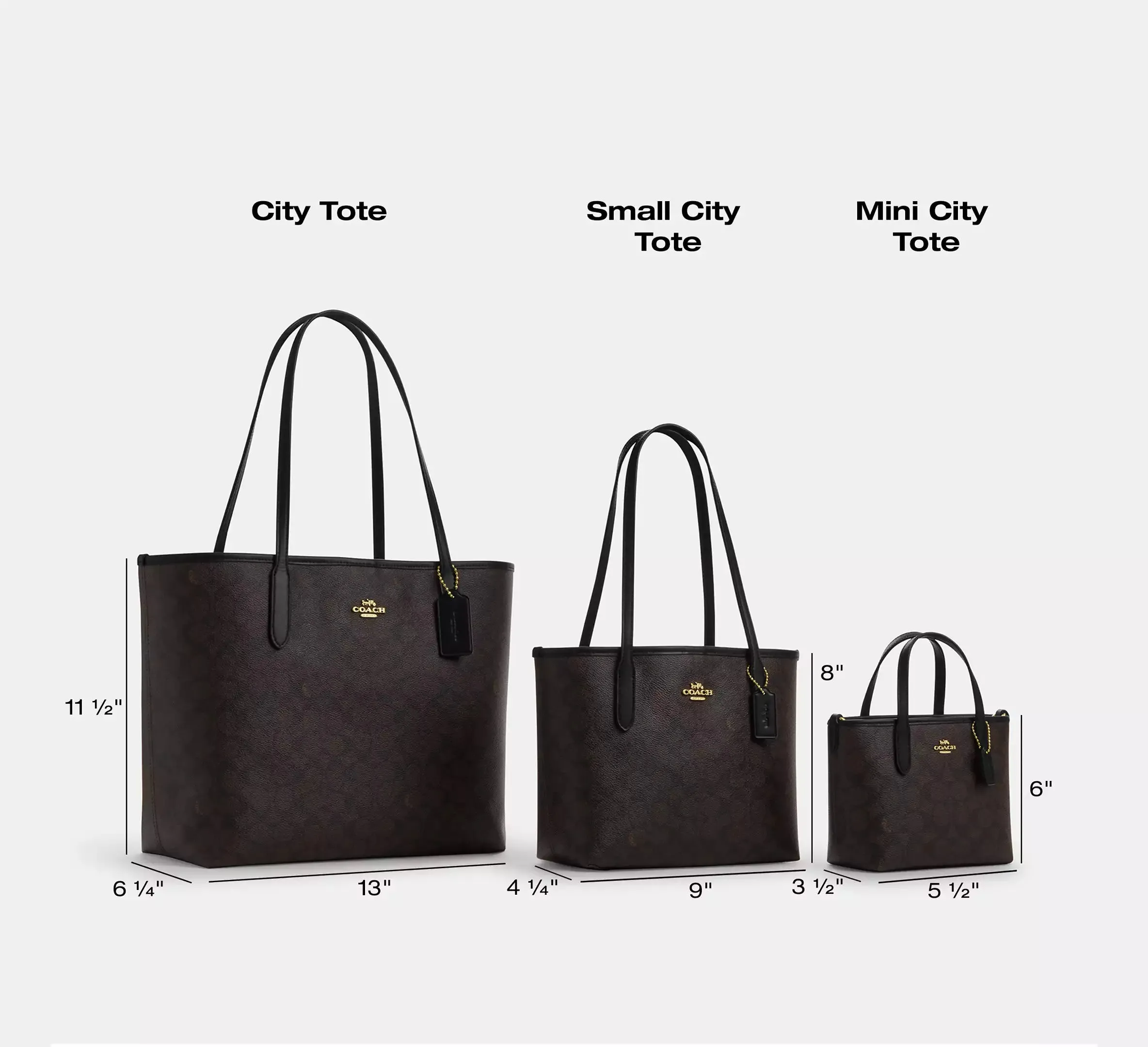 City Mini Tote Bag In Signature Canvas