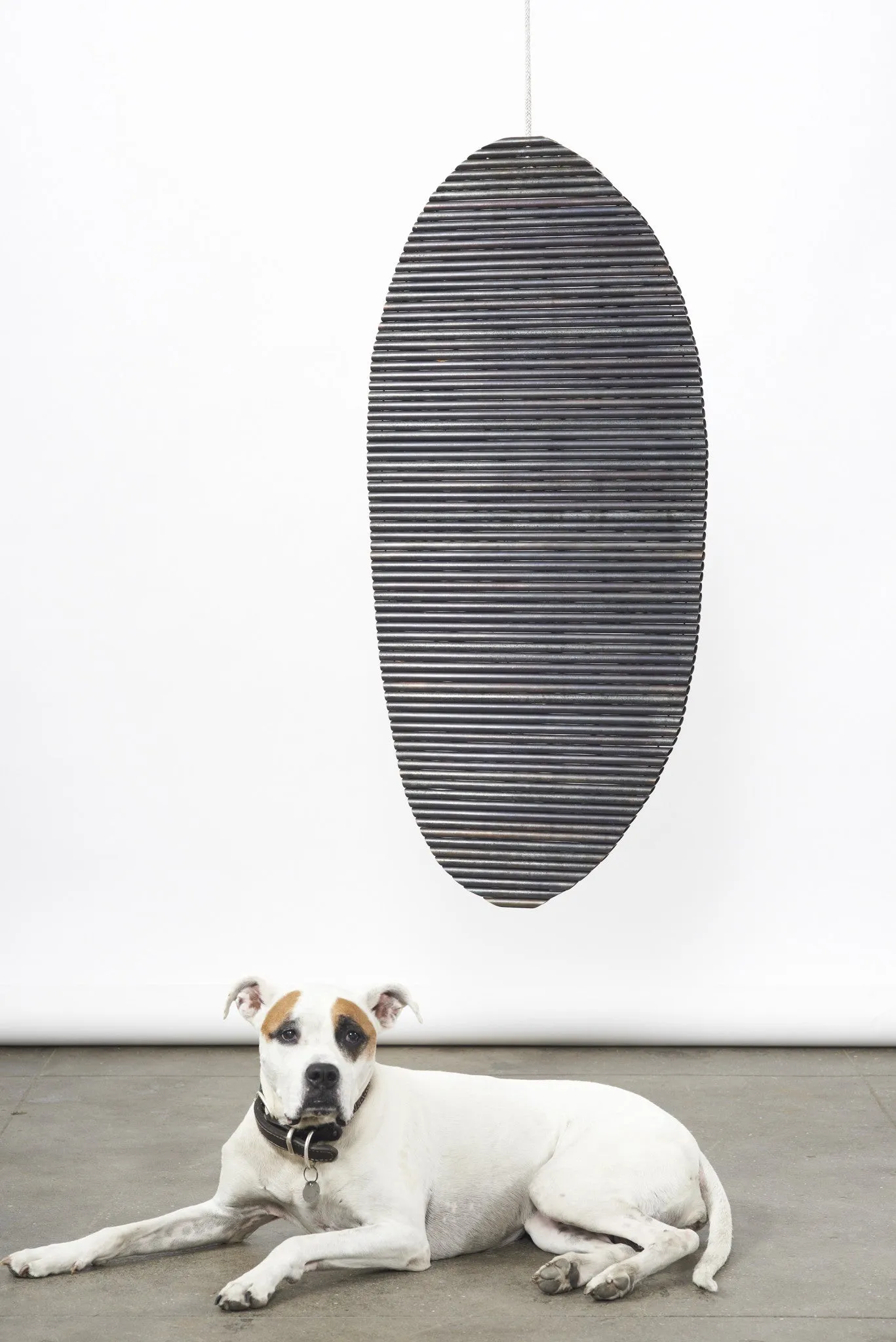 Cocoon, 2013
