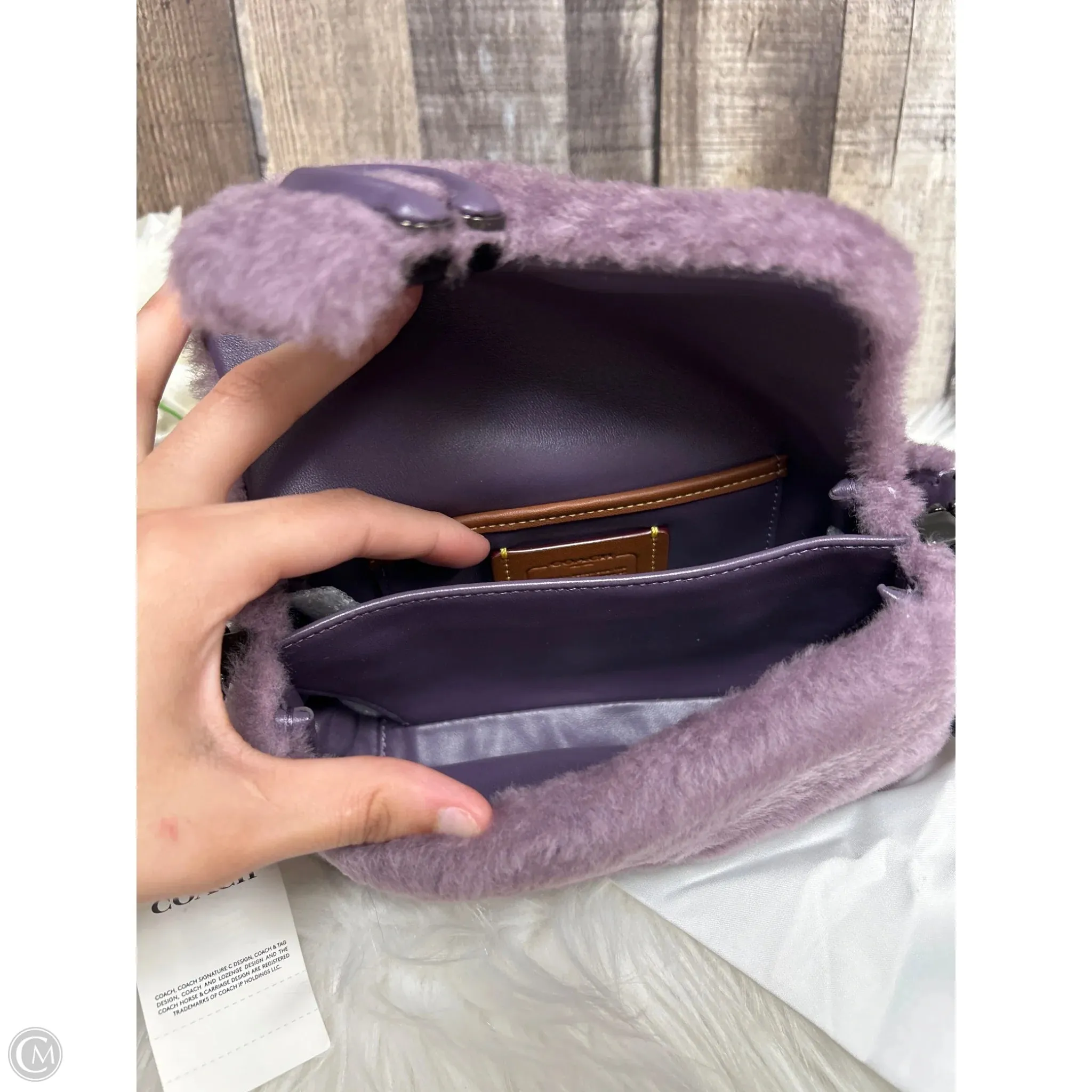 Crossbody Designer By Coach, Size: Small