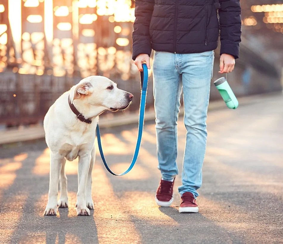 dog water bottle