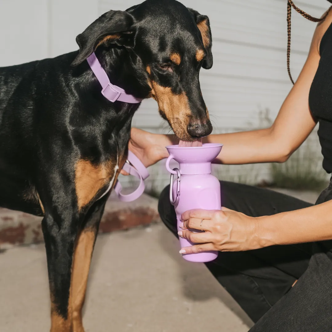 Dog Water Travel Bottle