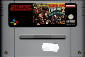 Donkey Kong Country 2
