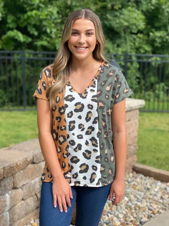Fall Vibes Leopard V-Neck