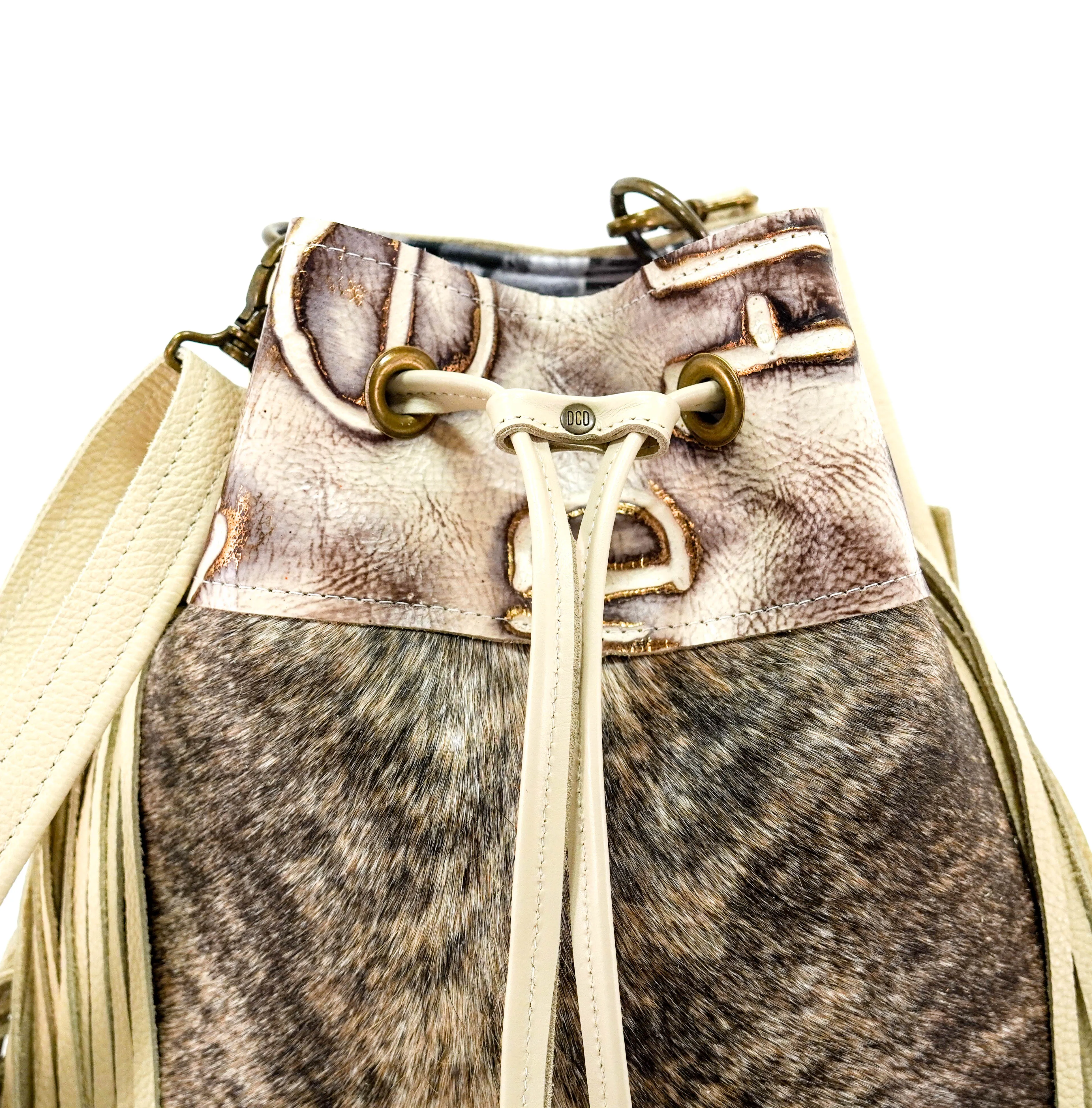 Gabby - Light Brindle w/ Ivory & Brown Brands
