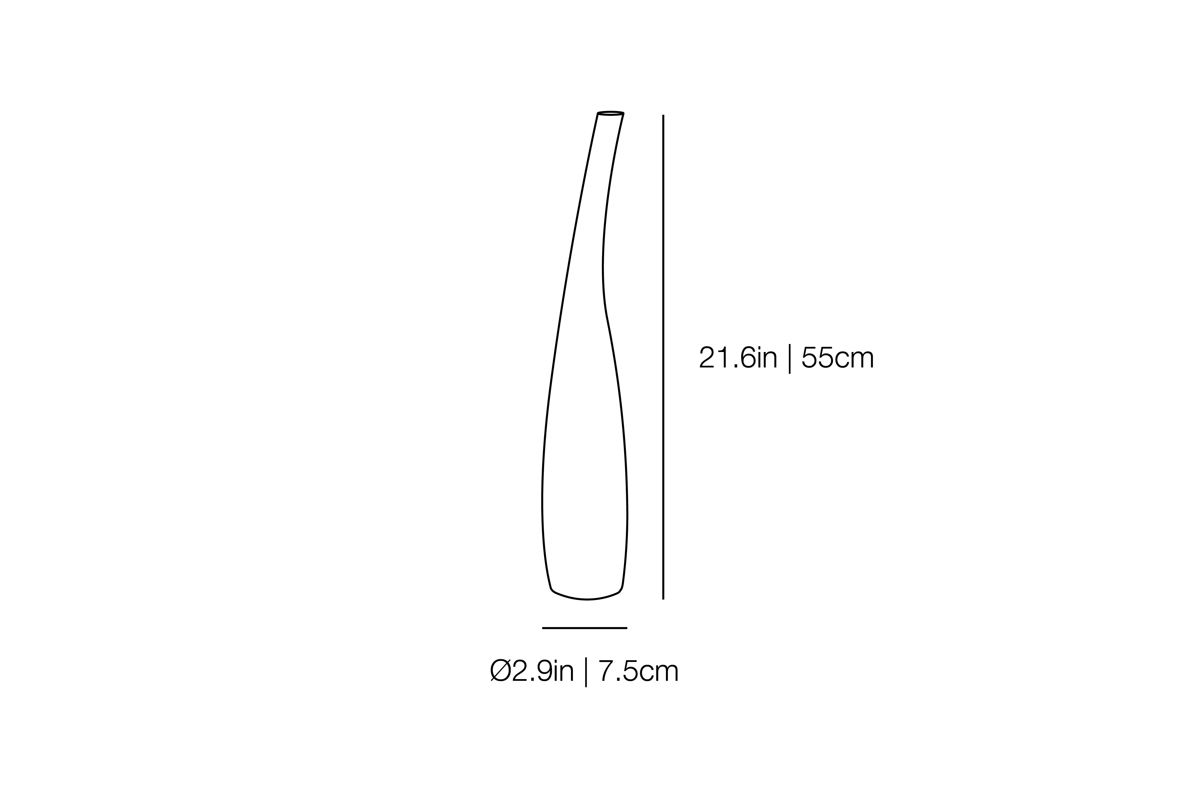Giunco Media - Bottle