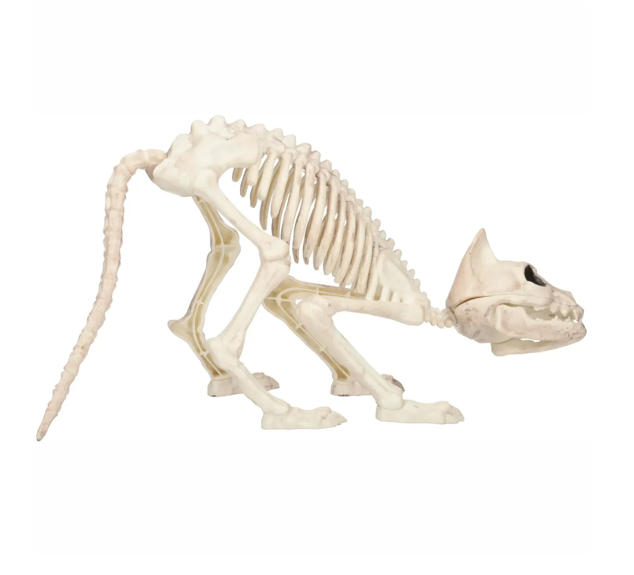 Halloween Cat Skeleton Decoration