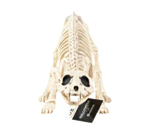 Halloween Cat Skeleton Decoration