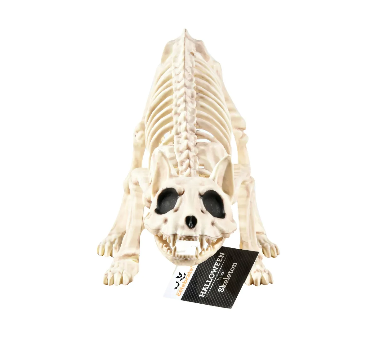 Halloween Cat Skeleton Decoration