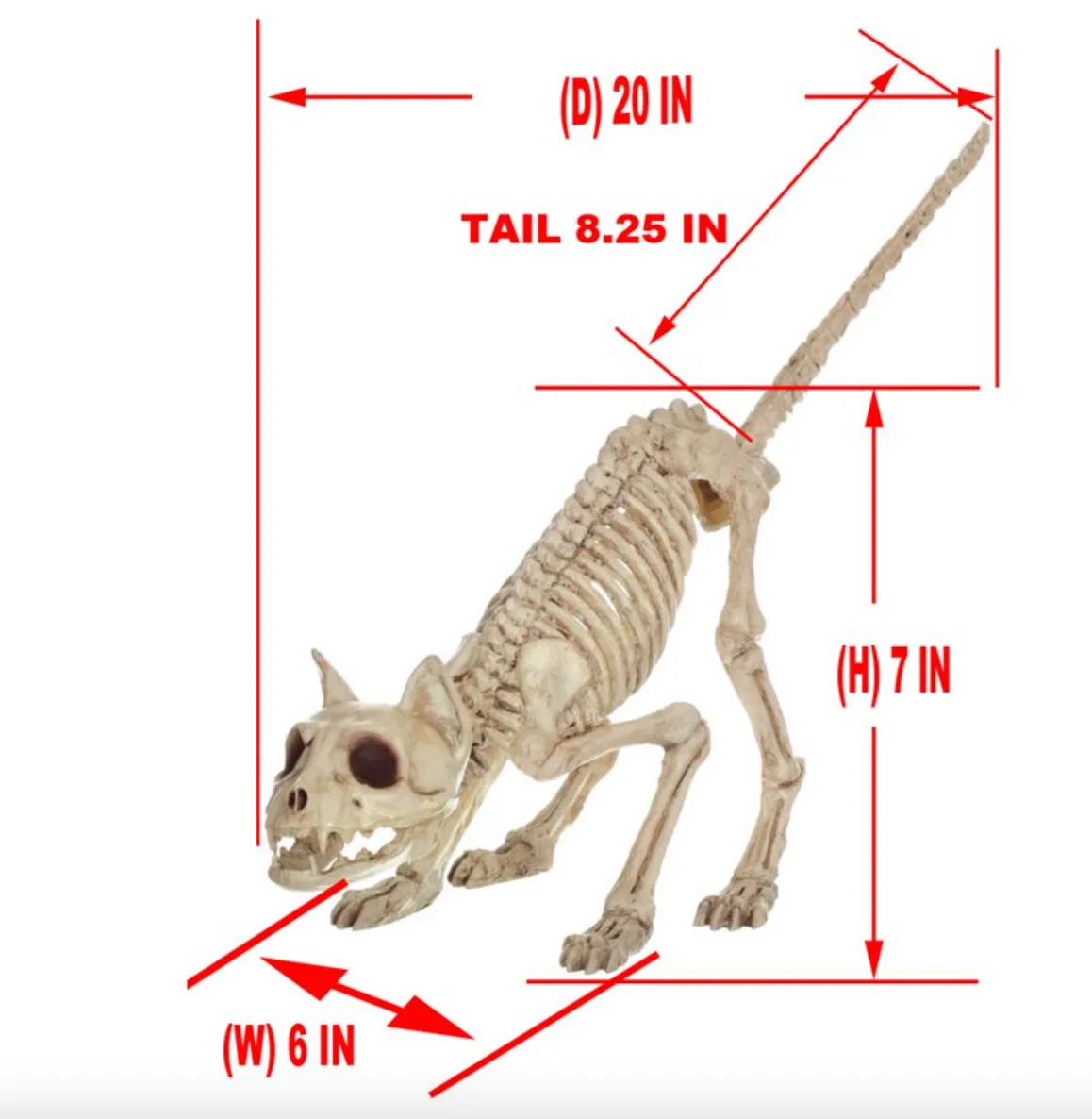 Halloween Cat Skeleton Decoration