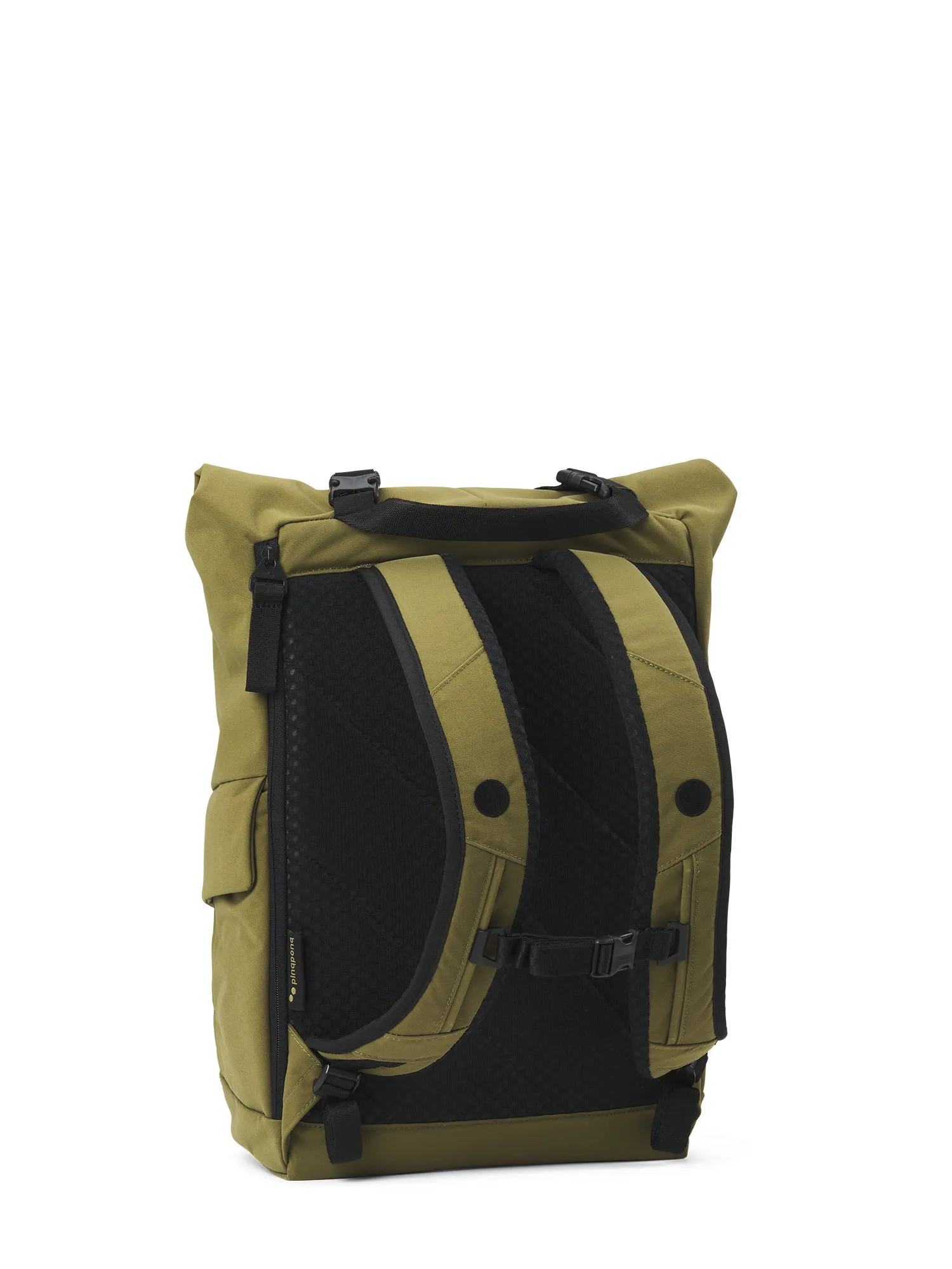 Kross - Solid Olive
