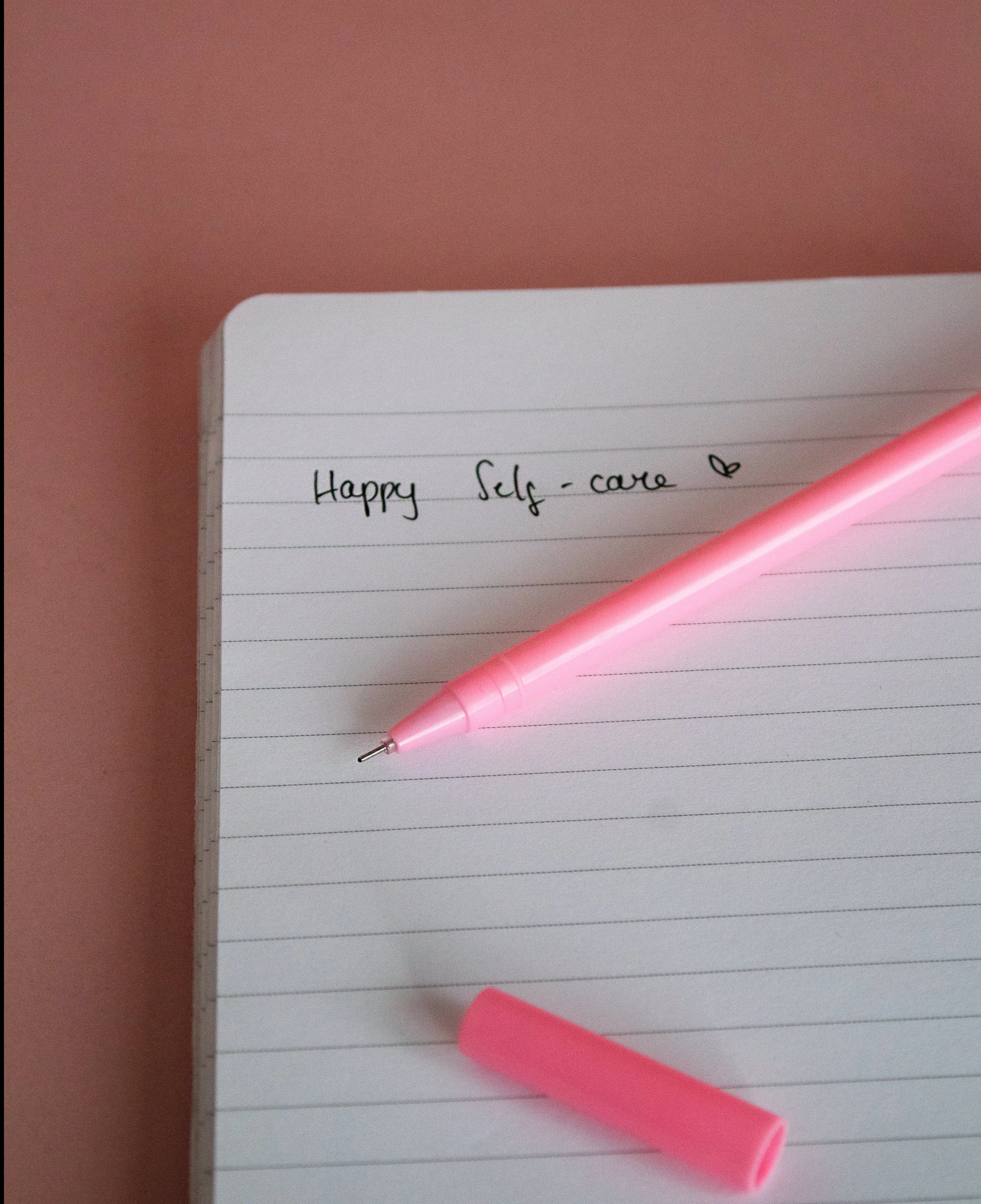 Lengbox Cute Animal Pens