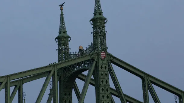 Liberty Bridge on the Danube River in Budapest