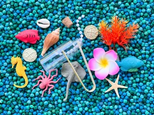 Ocean Adventure Sensory Kit