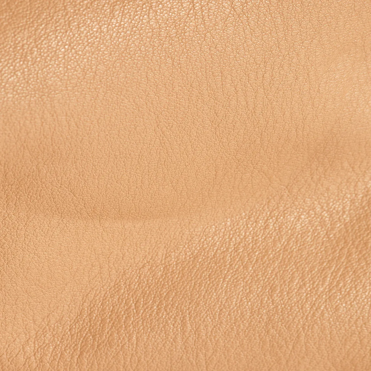 Oliver Zip | Toast Tan/Brushed Gold