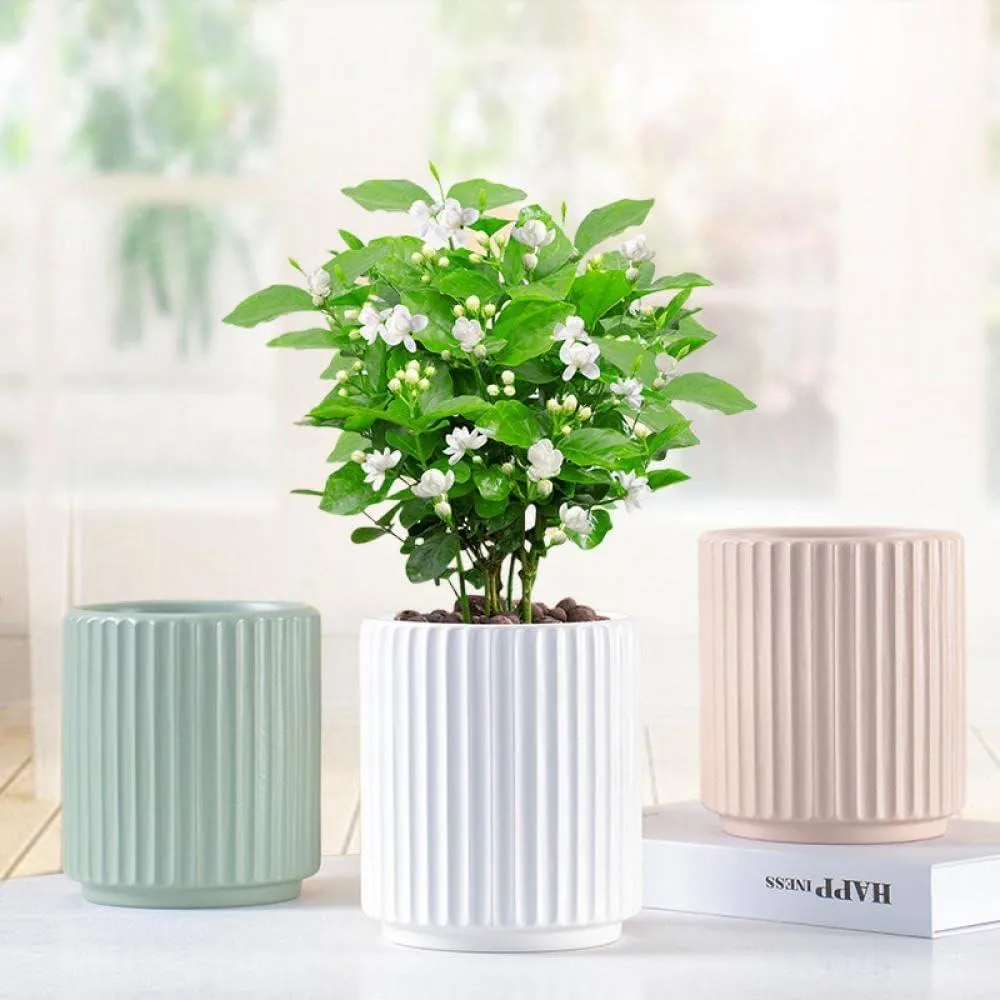 Passo Ribbed Plant Pot