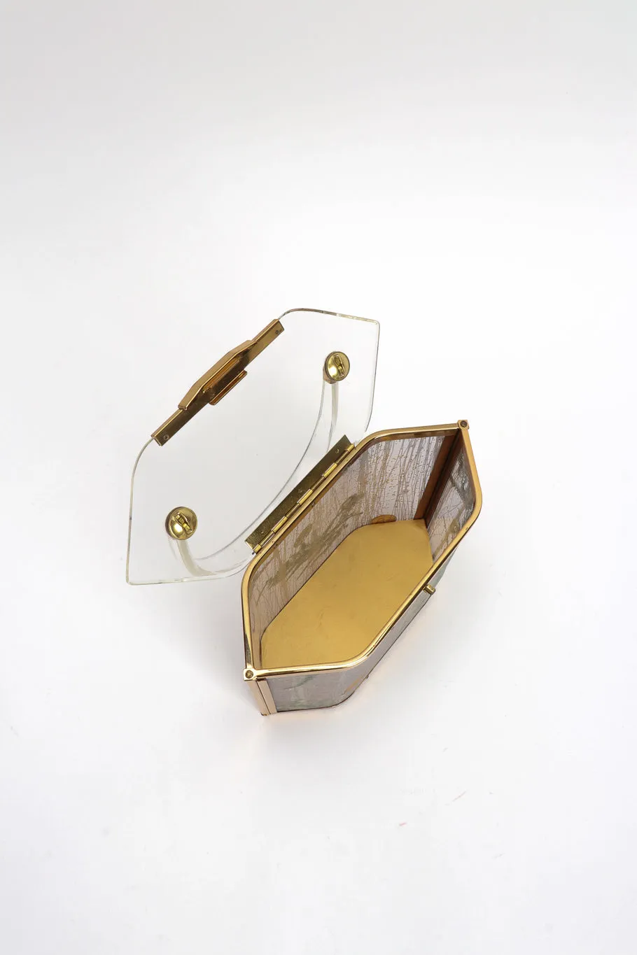 Pressed Foliage Lucite Box Bag