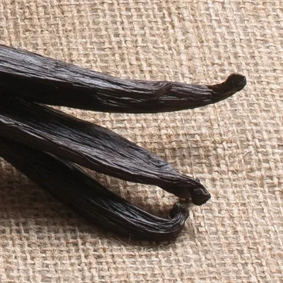 Short Tahitian Vanilla Beans