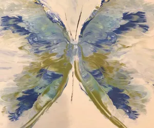 Soar