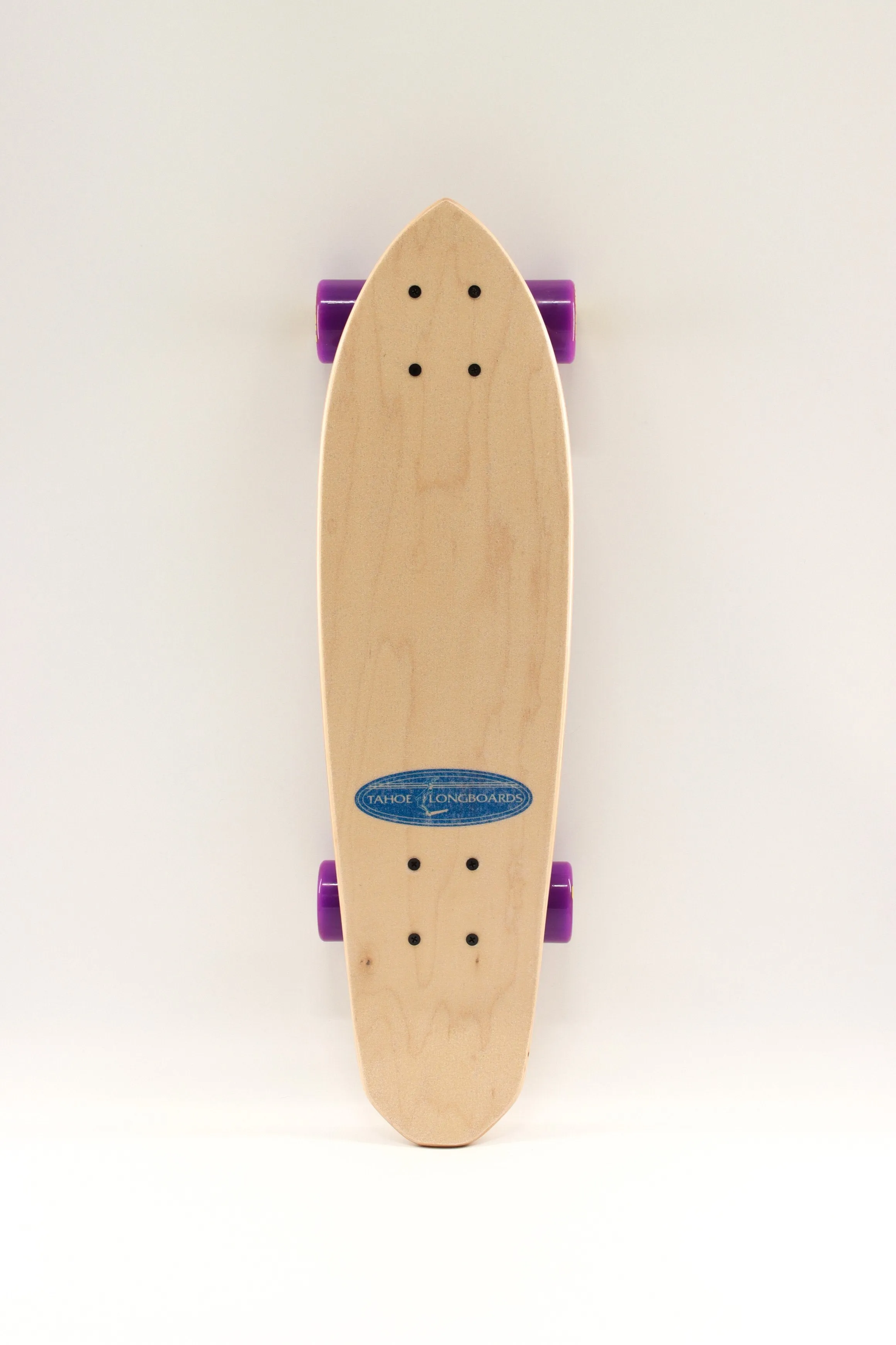 Tahoe Mini Blue Complete Skateboard