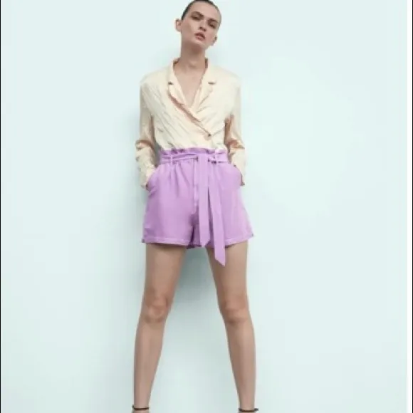 Two cute Zara shorts