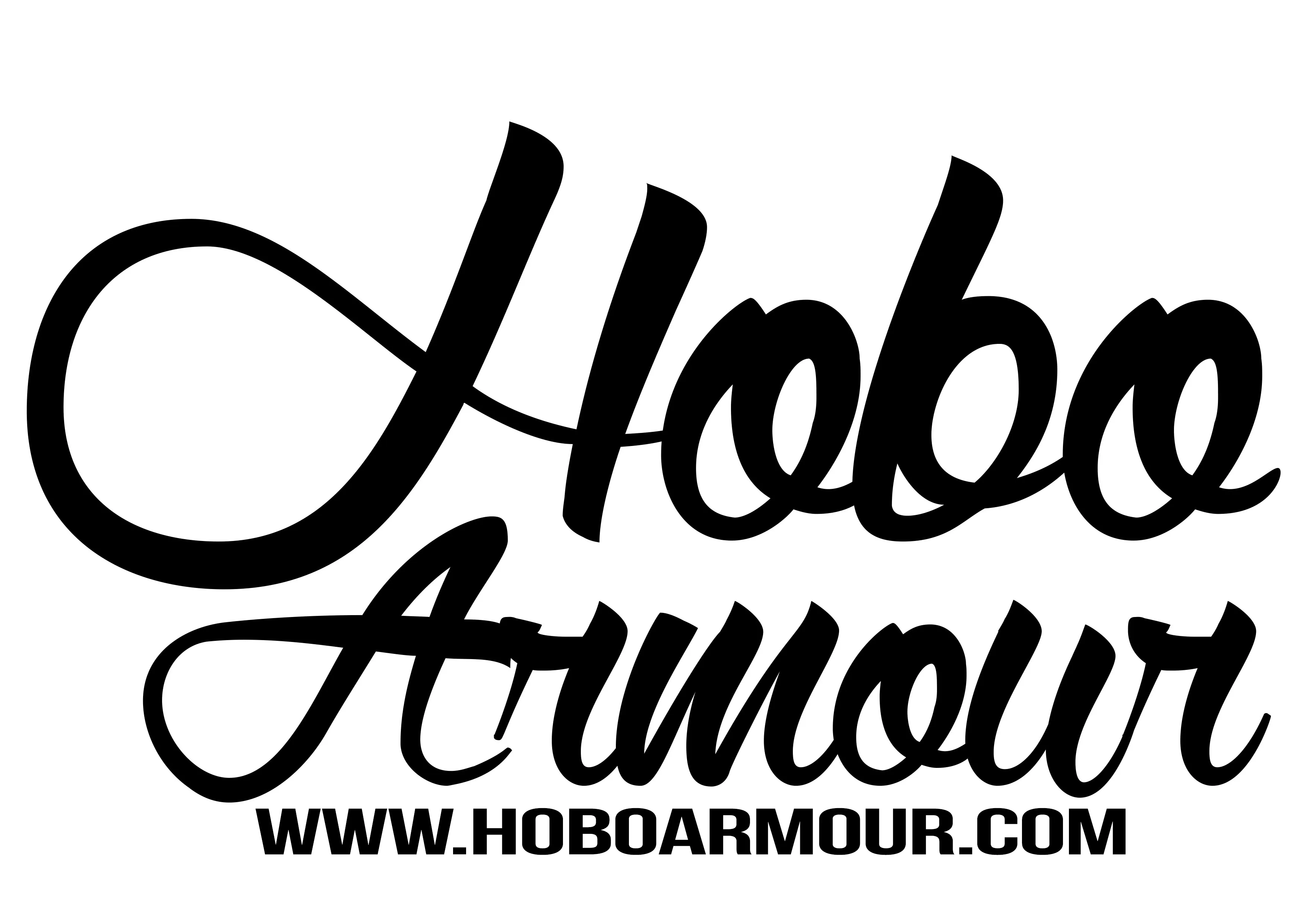 Van Car Decals