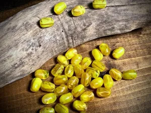 Vintage Austrian Glass—Yellow Irregular Oval Glass Bead—14mm x 10mm
