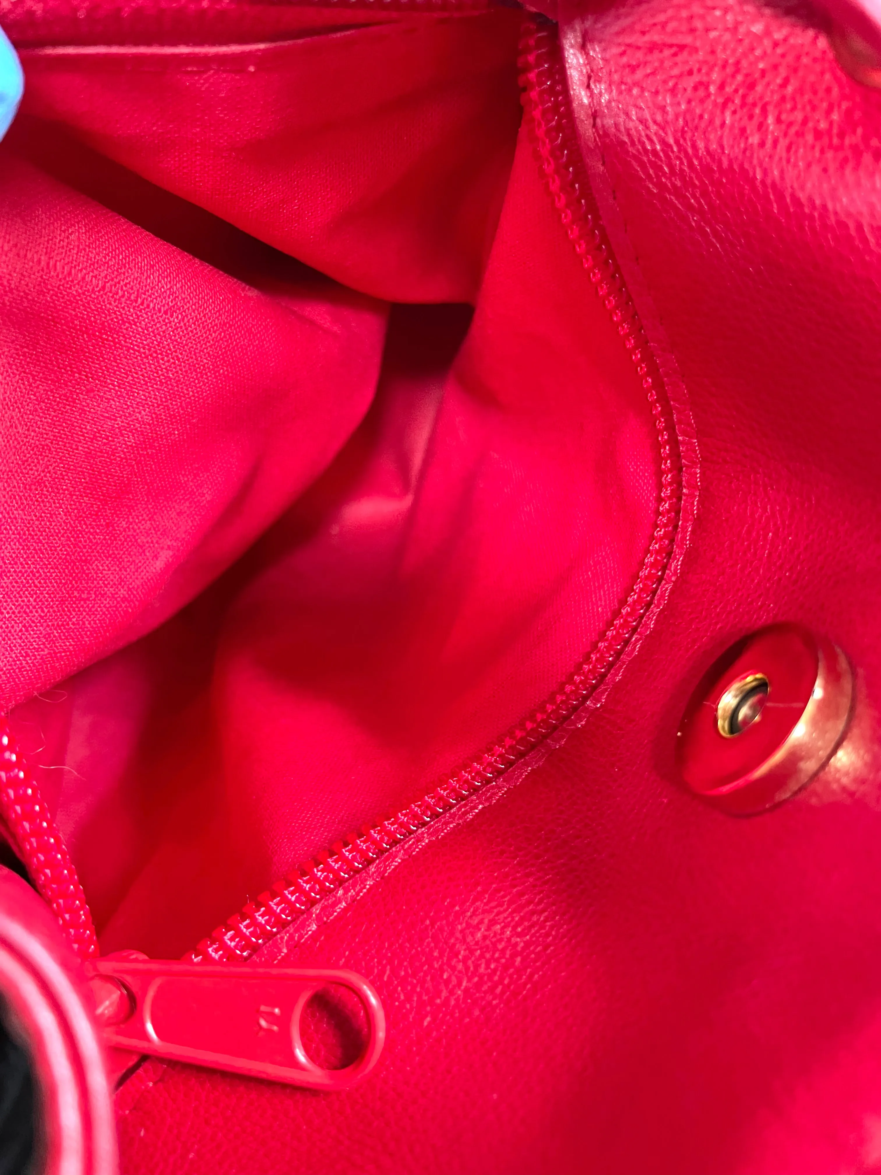 Vintage Bottega Veneta butterfly and leaf printed hobo bag with red leather trimmings. 050327ys3
