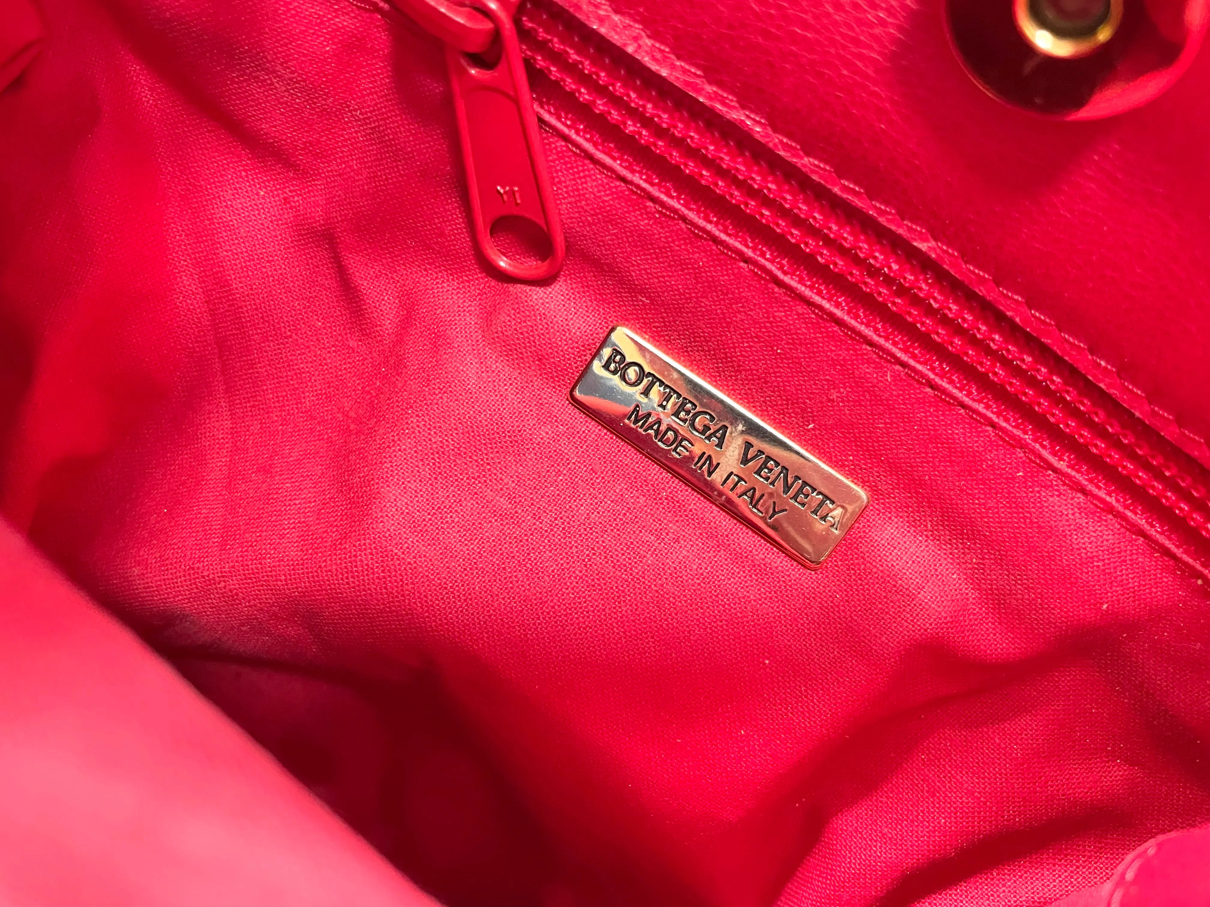 Vintage Bottega Veneta butterfly and leaf printed hobo bag with red leather trimmings. 050327ys3